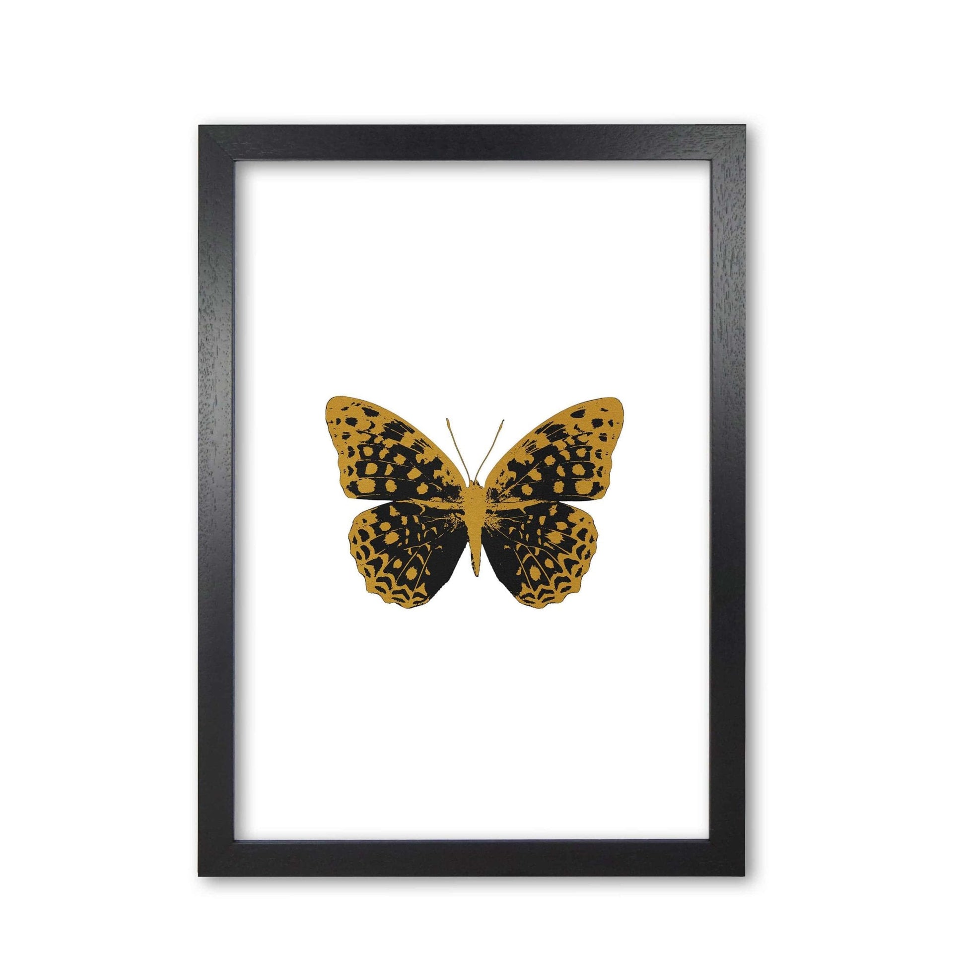 Black butterfly fine art print by orara studio
