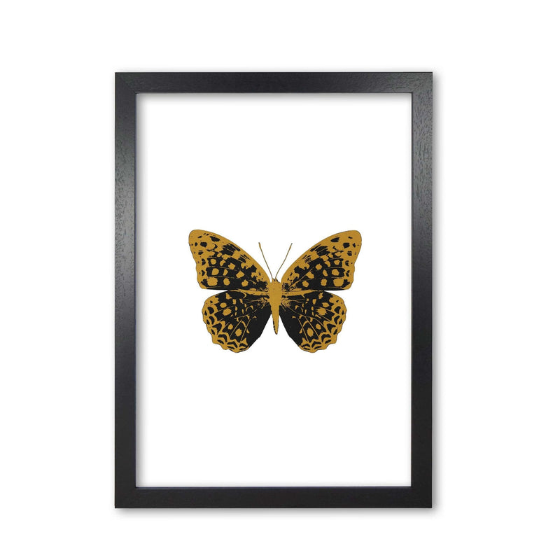 Black butterfly fine art print by orara studio