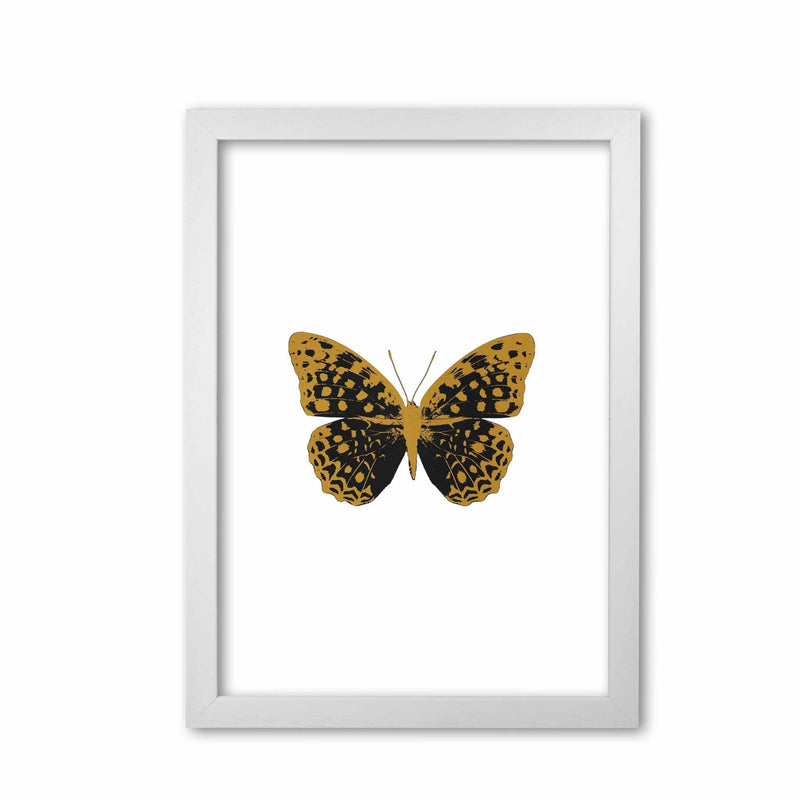 Black butterfly fine art print by orara studio