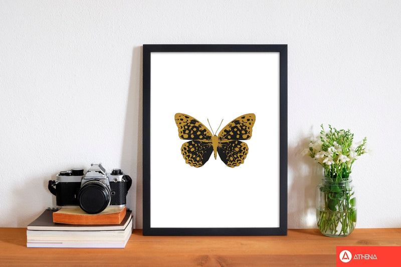 Black butterfly fine art print by orara studio