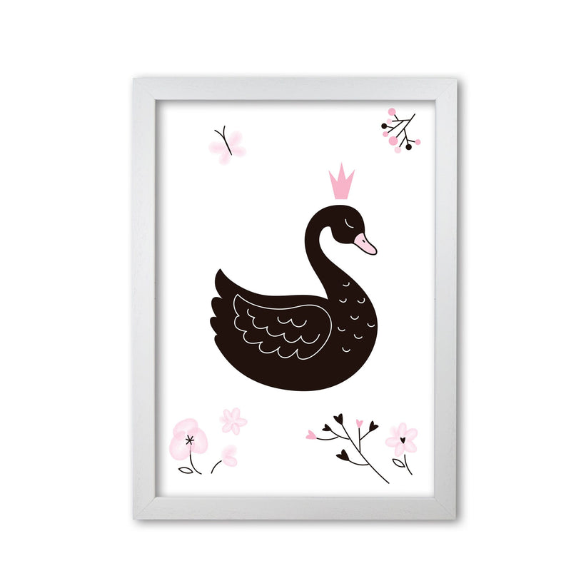 Black swan modern fine art print