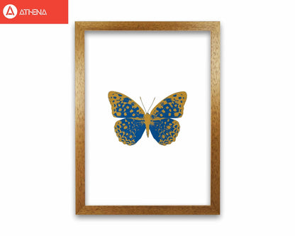 Blue butterfly fine art print by orara studio