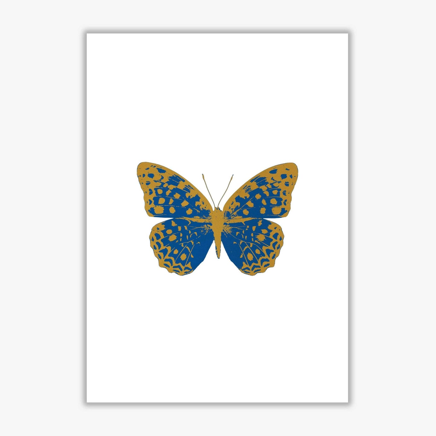 Blue butterfly fine art print by orara studio