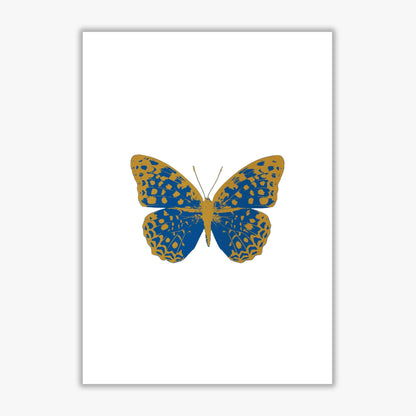 Blue butterfly fine art print by orara studio