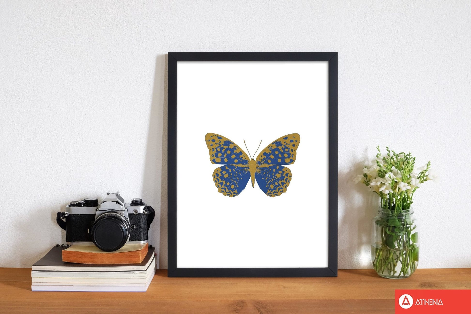 Blue butterfly fine art print by orara studio