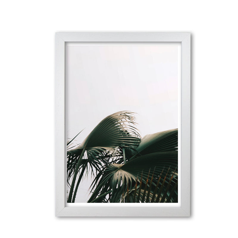 Bushy palm leaves modern fine art print, framed botanical &