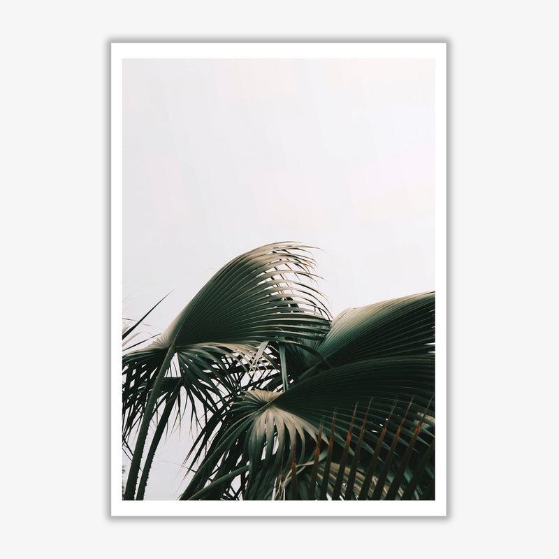 Bushy palm leaves modern fine art print, framed botanical &