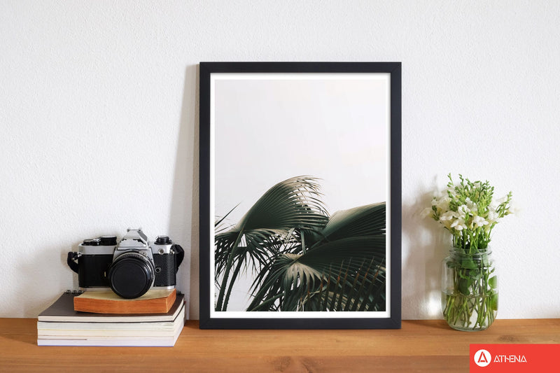 Bushy palm leaves modern fine art print, framed botanical &