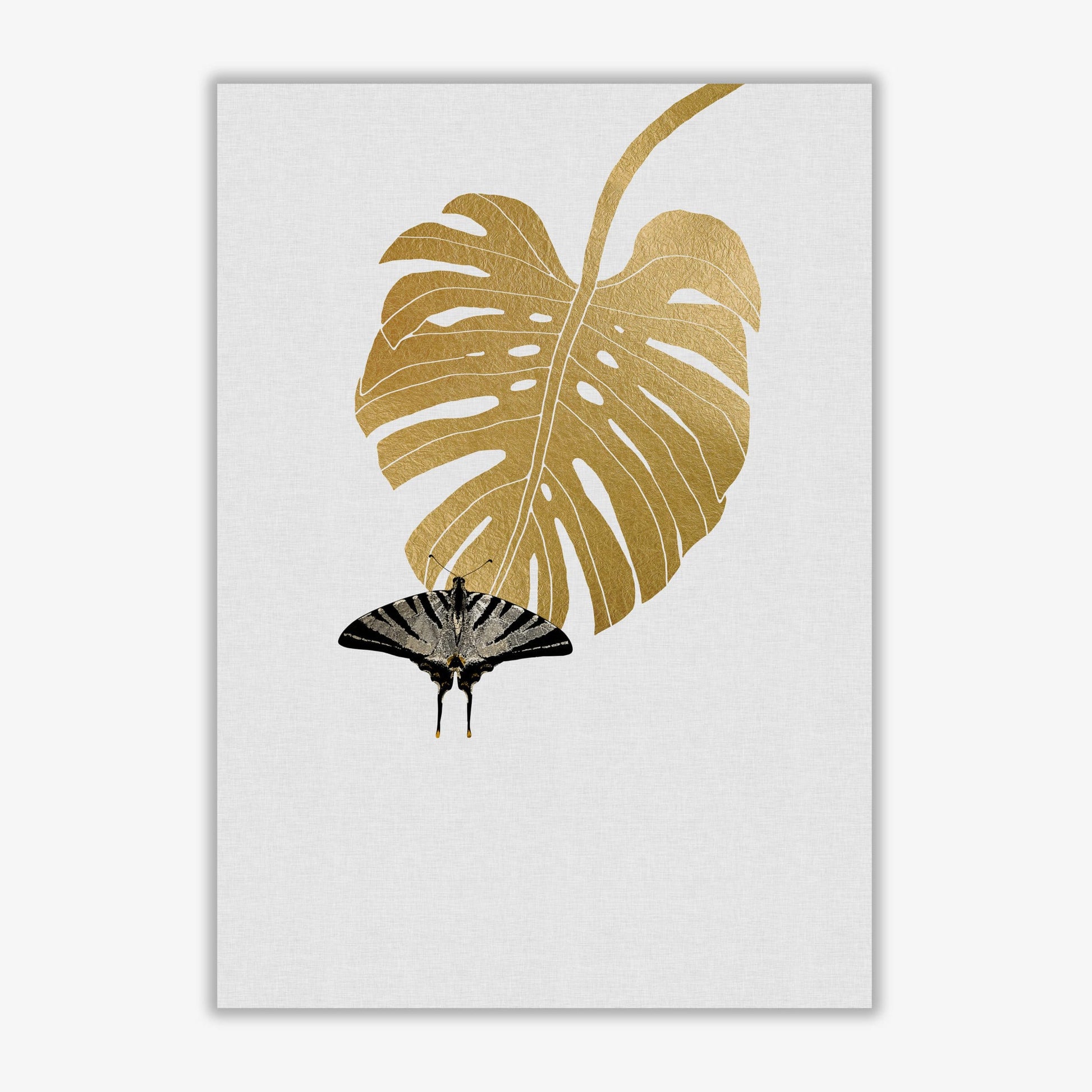 Butterfly &#038; monstera leaf fine art print by orara studio