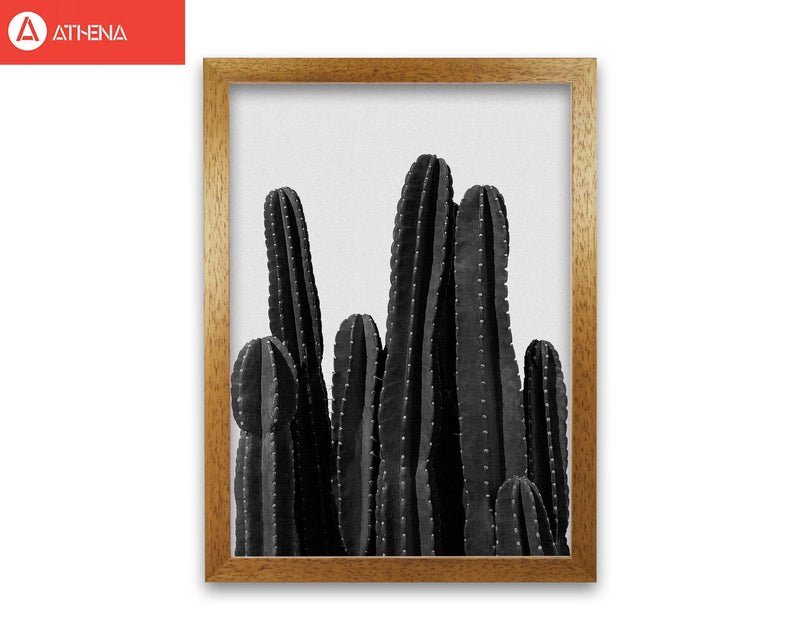 Cactus black and white fine art print by orara studio, framed botanical &