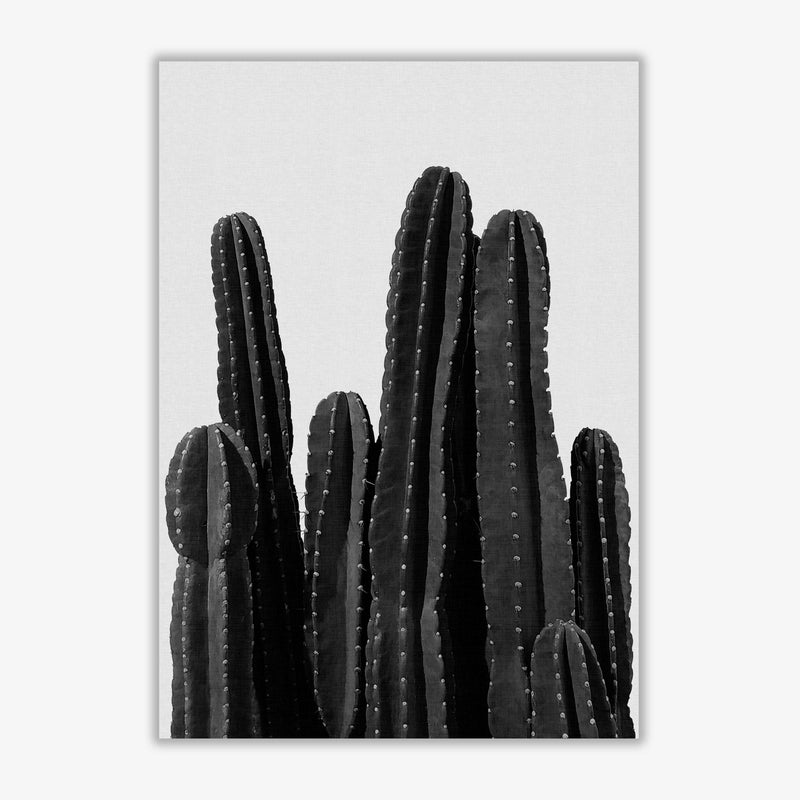 Cactus black and white fine art print by orara studio, framed botanical &