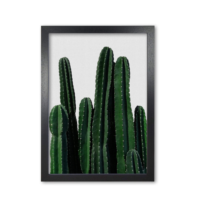 Cactus i fine art print by orara studio, framed botanical &