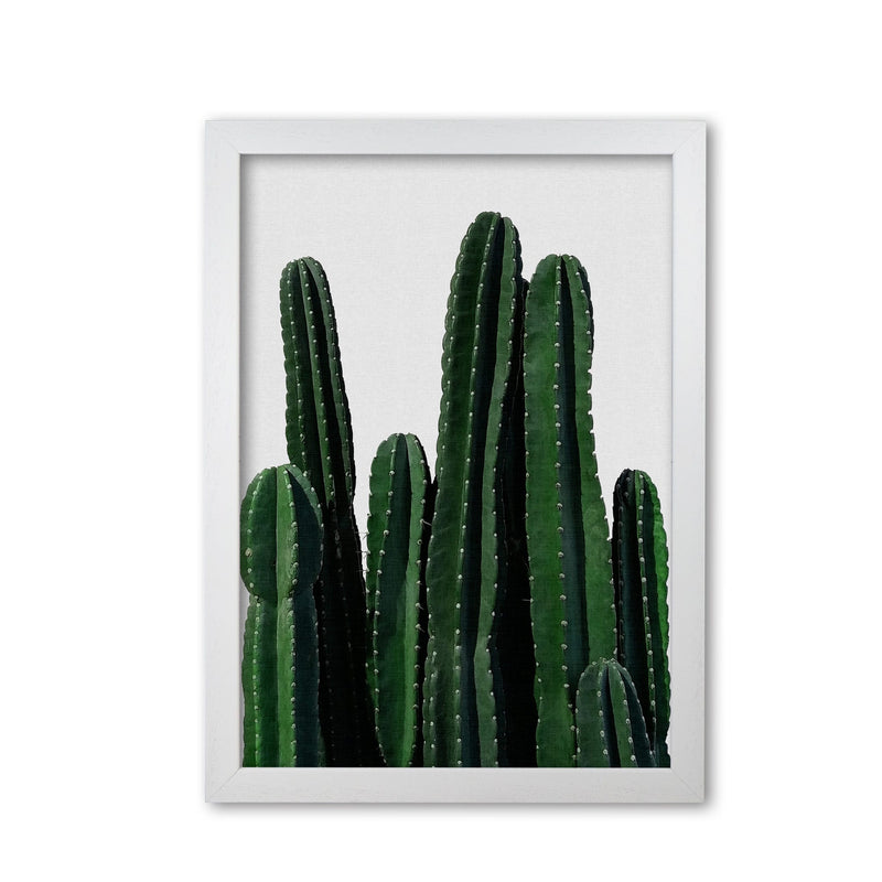 Cactus i fine art print by orara studio, framed botanical &