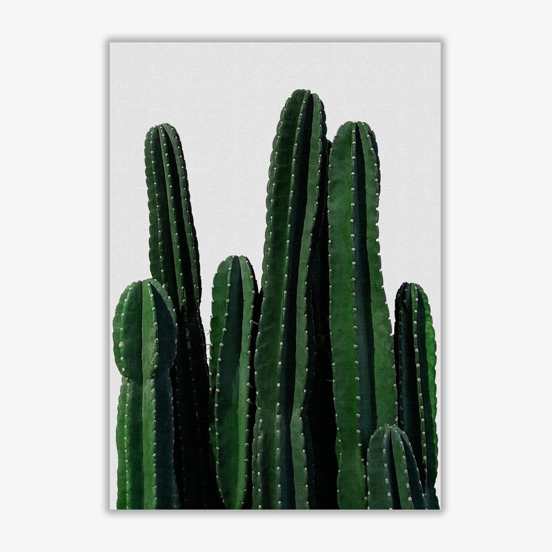Cactus i fine art print by orara studio, framed botanical &