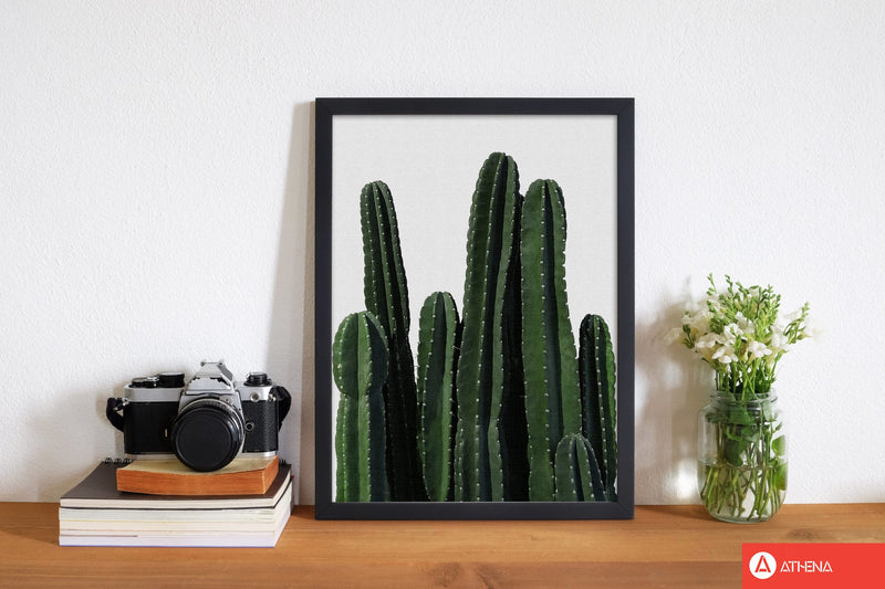 Cactus i fine art print by orara studio, framed botanical &