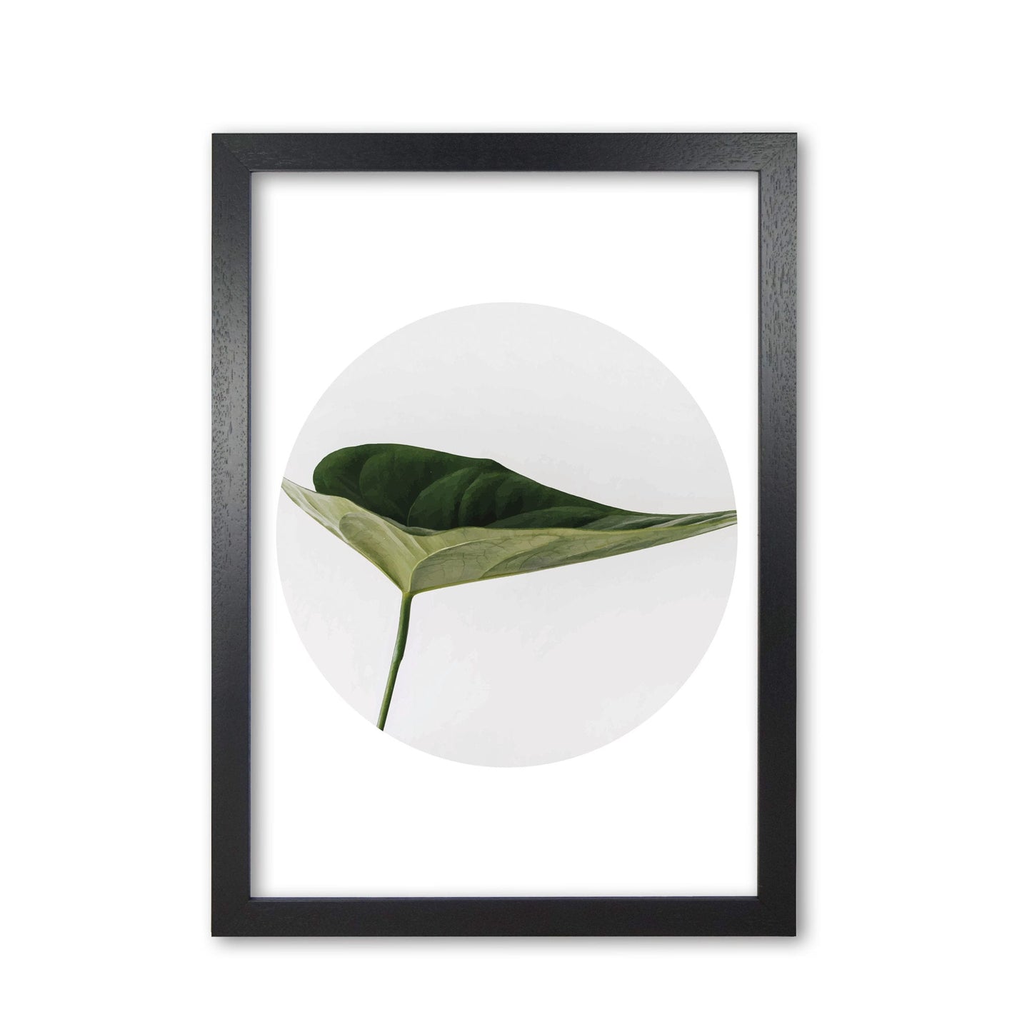 Doc leaf modern fine art print, framed botanical &#038; nature art print