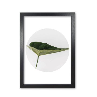 Doc leaf modern fine art print, framed botanical &#038; nature art print