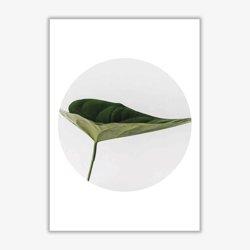 Doc leaf modern fine art print, framed botanical &