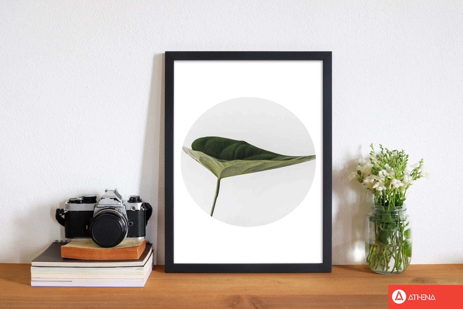 Doc leaf modern fine art print, framed botanical &#038; nature art print