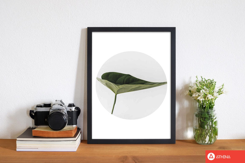 Doc leaf modern fine art print, framed botanical &