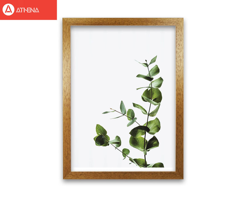 Elegant green plant modern fine art print, framed botanical &