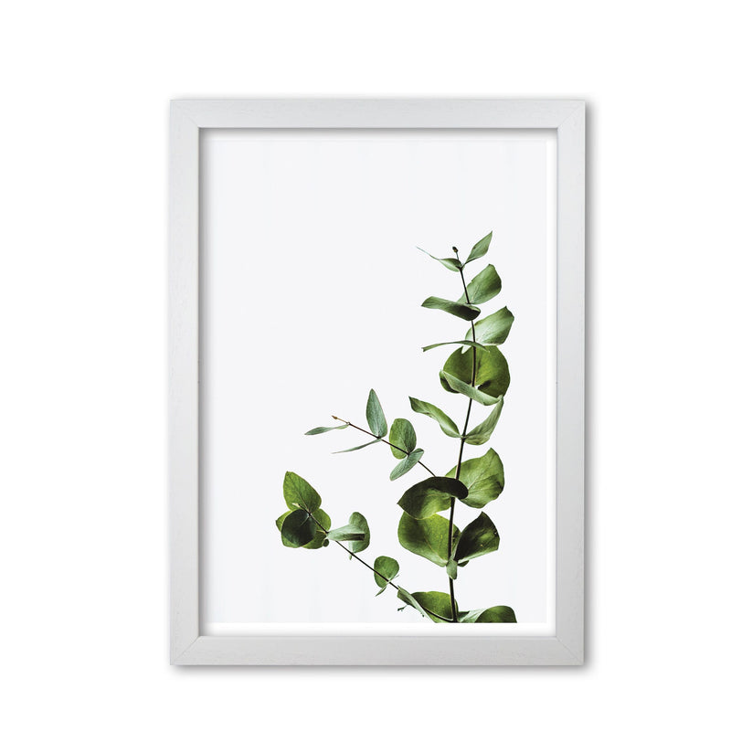 Elegant green plant modern fine art print, framed botanical &