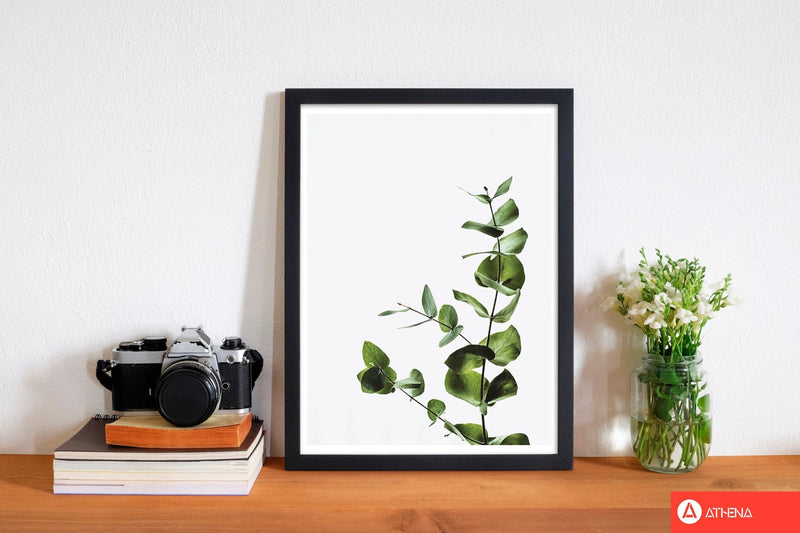 Elegant green plant modern fine art print, framed botanical &