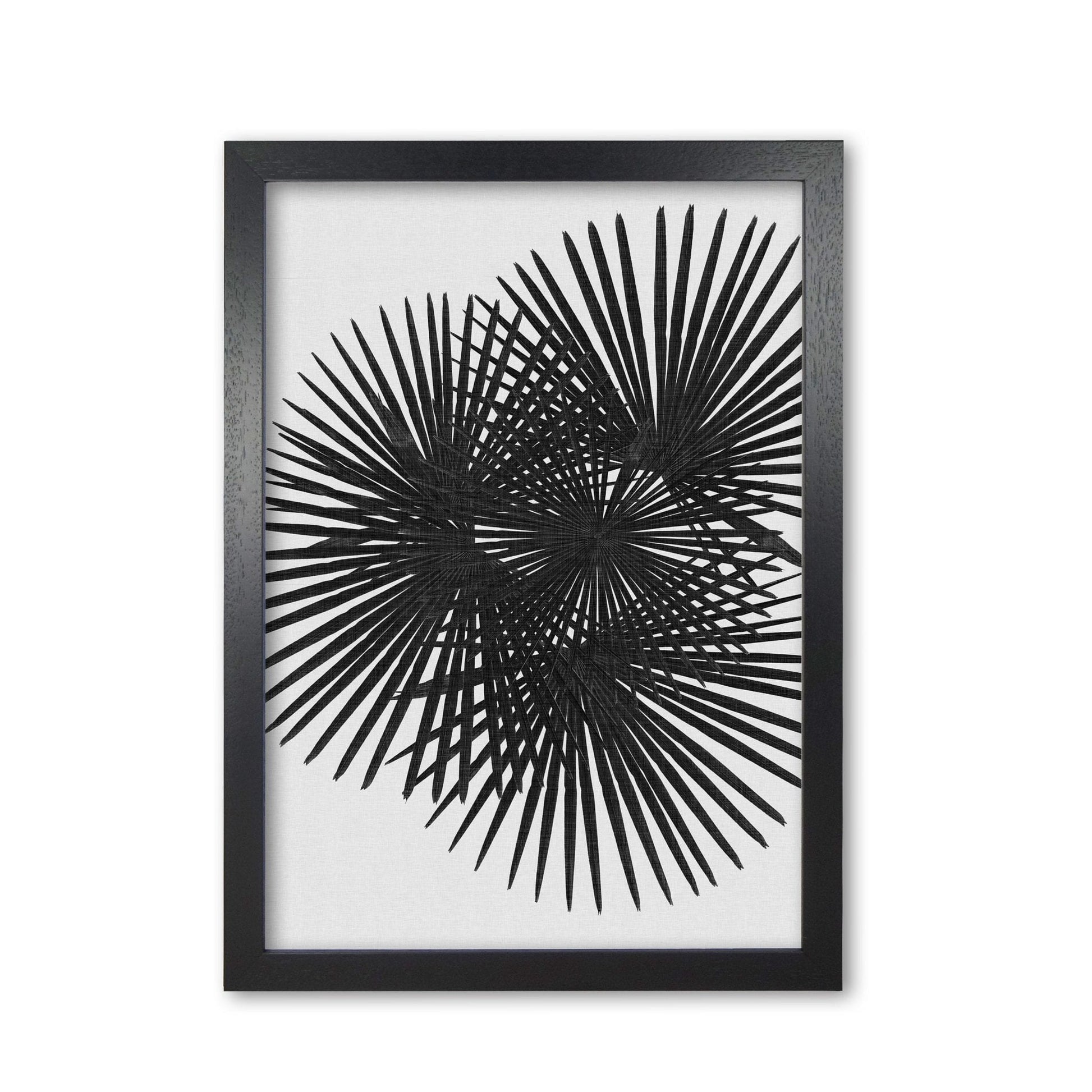 Fan palm black &#038; white fine art print by orara studio
