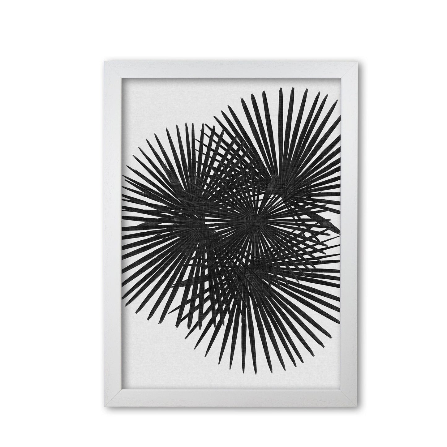 Fan palm black &#038; white fine art print by orara studio