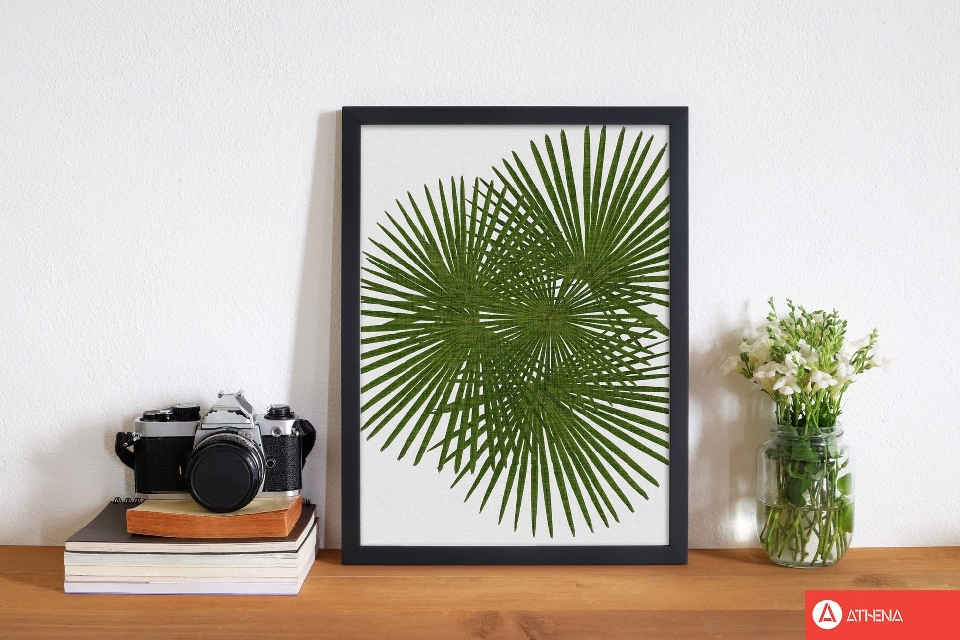 Fan palm fine art print by orara studio, framed botanical &#038; nature art print