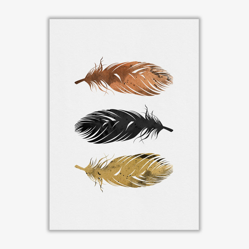 Feathers fine art print by orara studio, framed botanical &