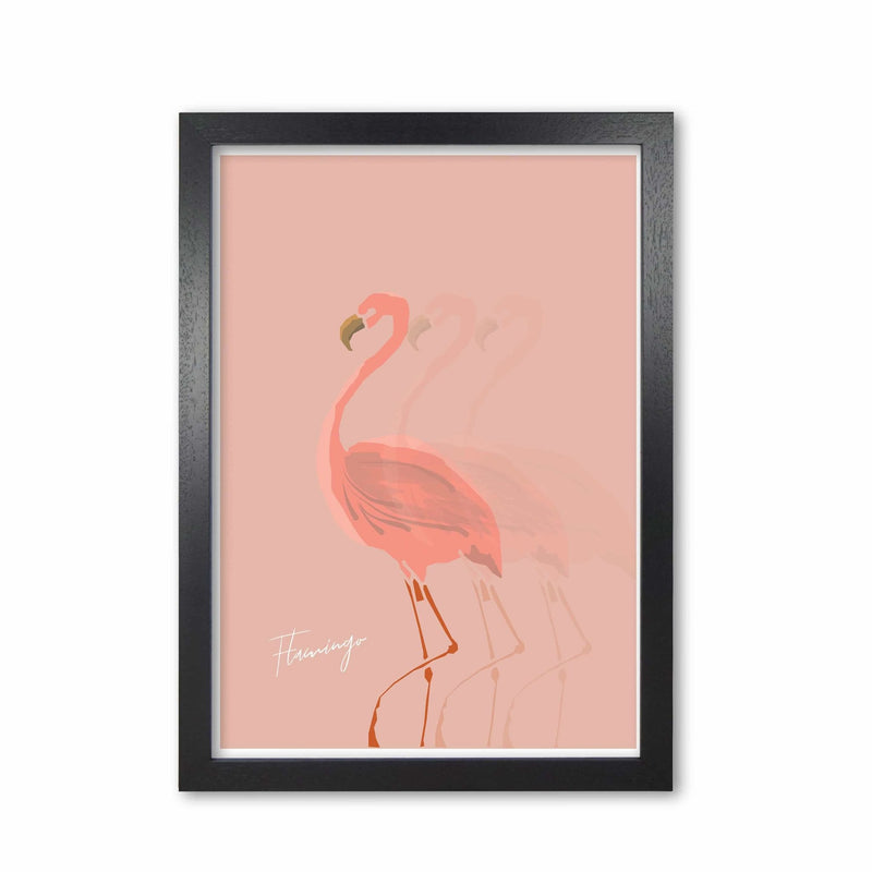 Flamingo shadow modern fine art print