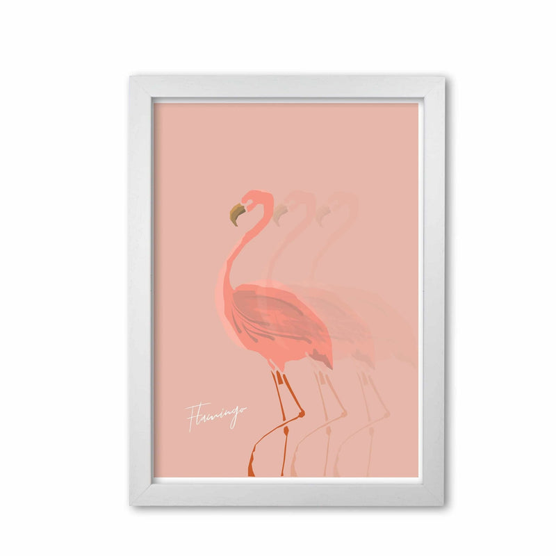 Flamingo shadow modern fine art print