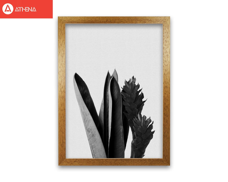 Flower black &