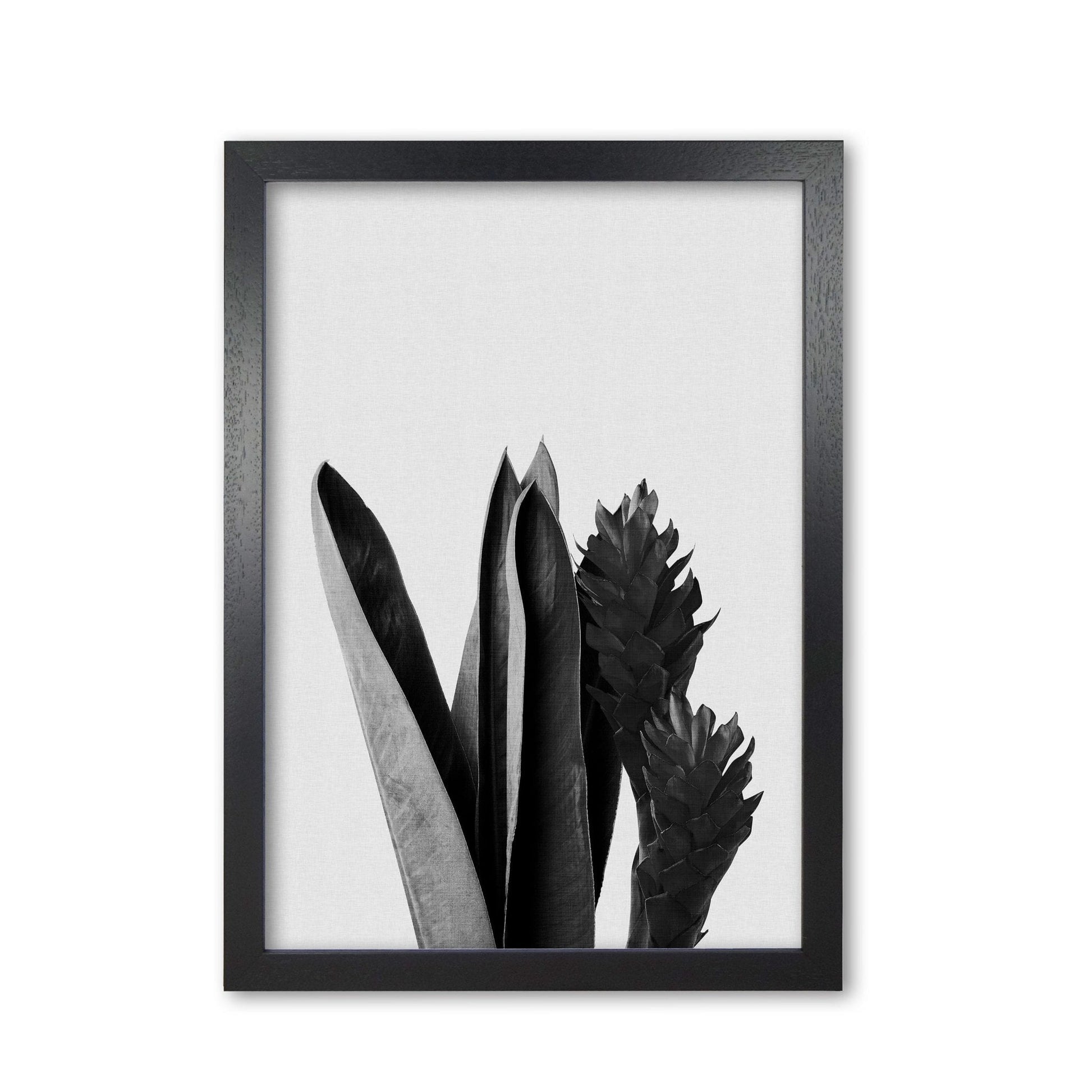 Flower black &#038; white fine art print by orara studio