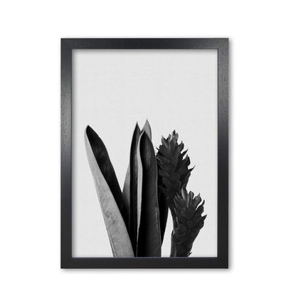 Flower black &#038; white fine art print by orara studio