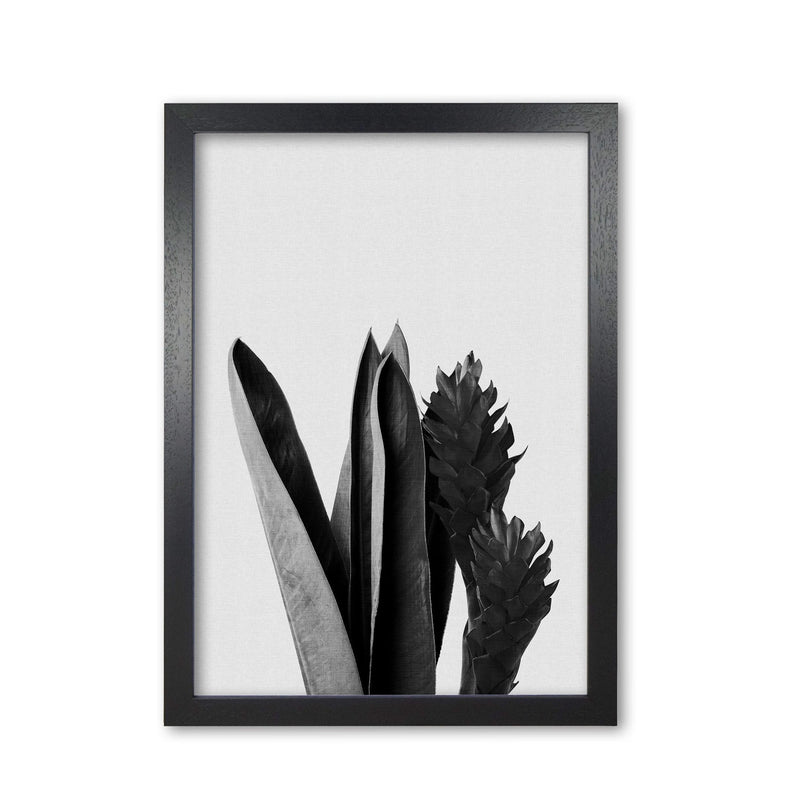 Flower black &