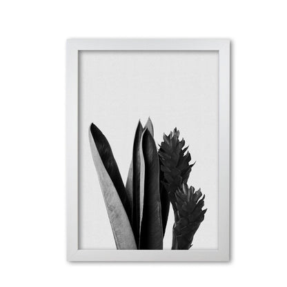 Flower black &#038; white fine art print by orara studio