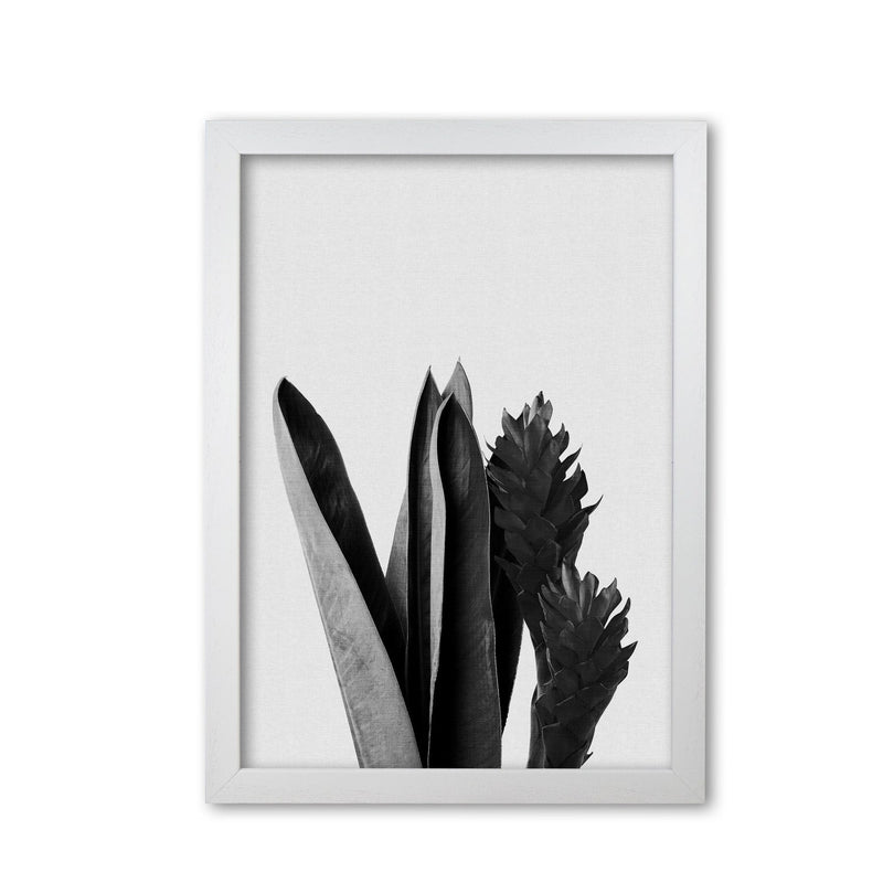 Flower black &