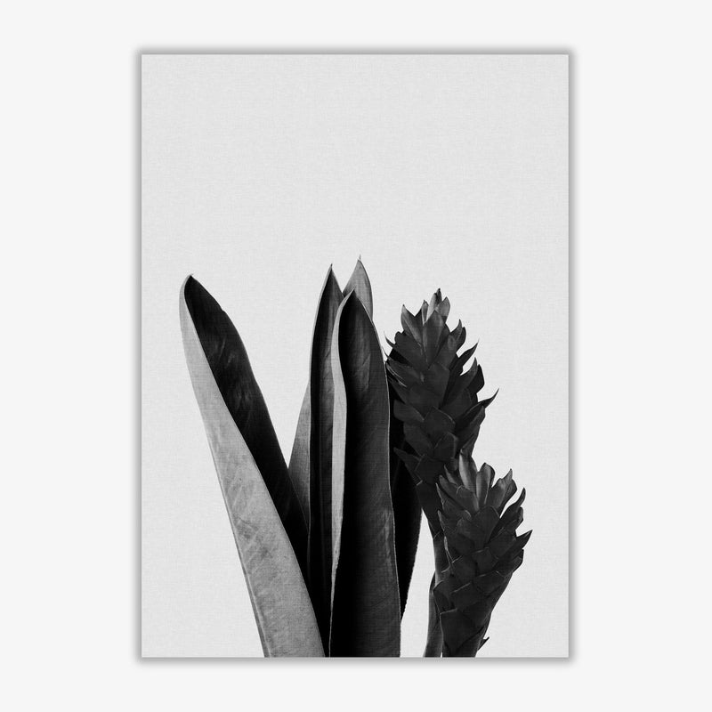 Flower black &