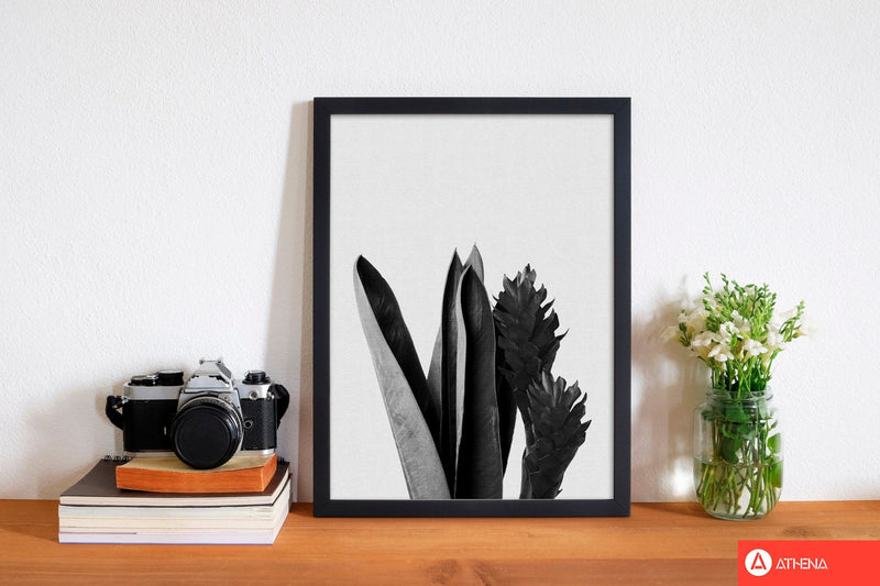 Flower black &