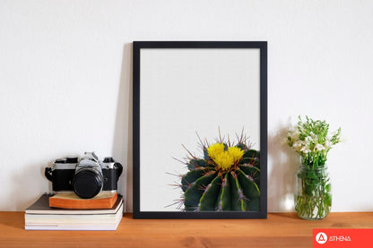 Flower cactus fine art print by orara studio, framed botanical &#038; nature art print