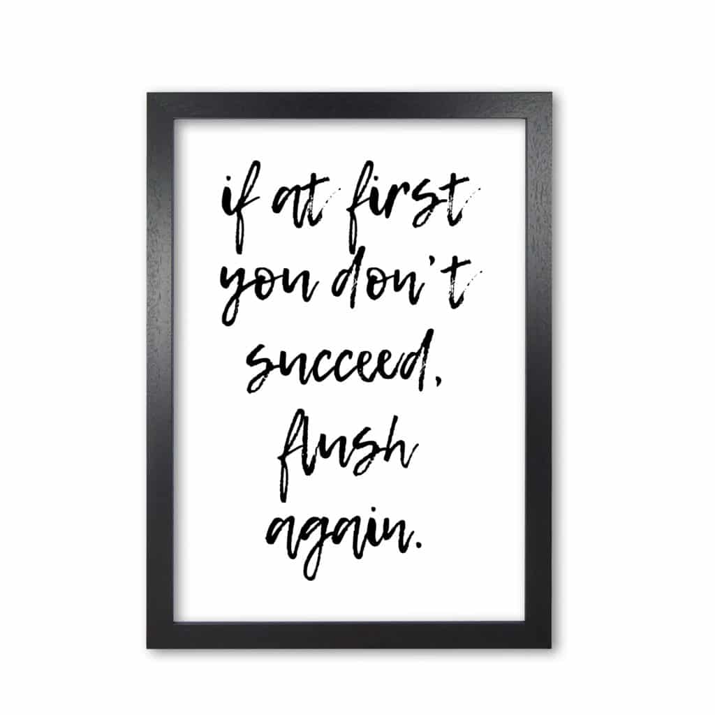 Flush again, bathroom modern fine art print, framed bathroom wall art