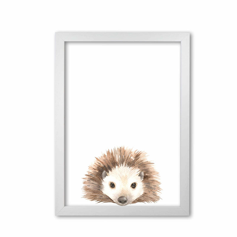 Forest friends, cute hedgehog modern fine art print