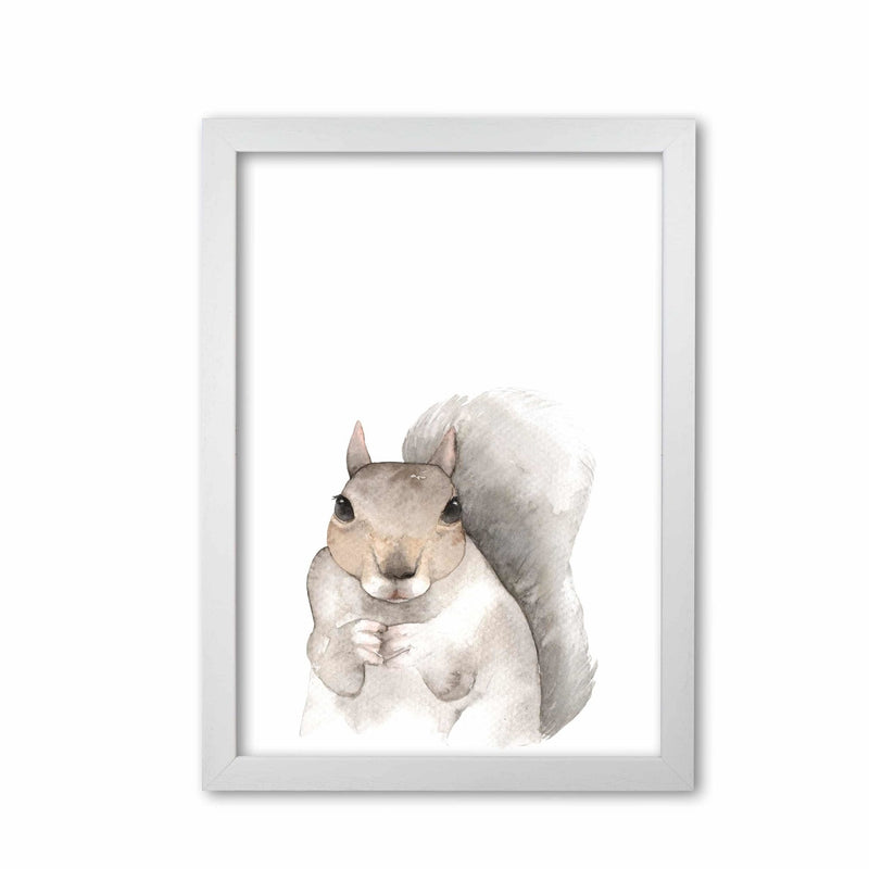 Forest friends, cute squirrel modern fine art print