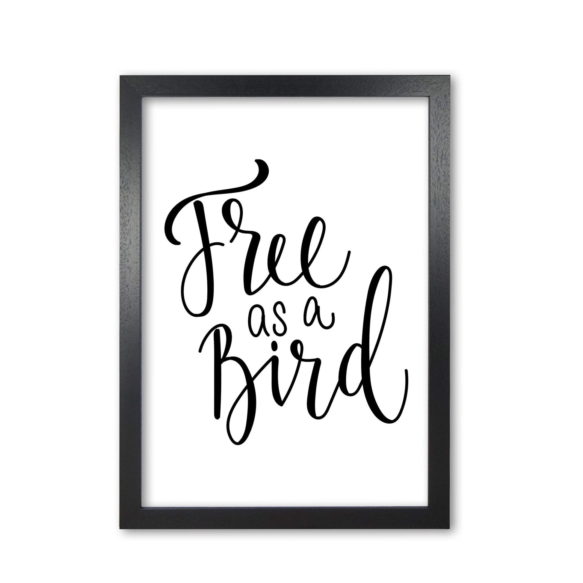 Free as a bird modern fine art print, framed typography wall art