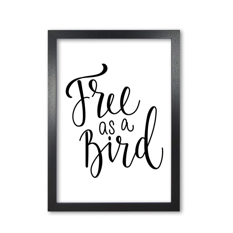 Free as a bird modern fine art print, framed typography wall art