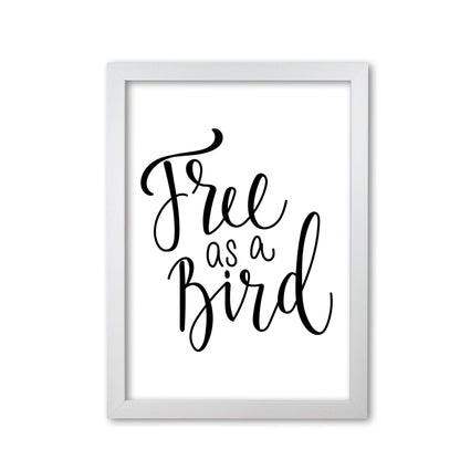 Free as a bird modern fine art print, framed typography wall art
