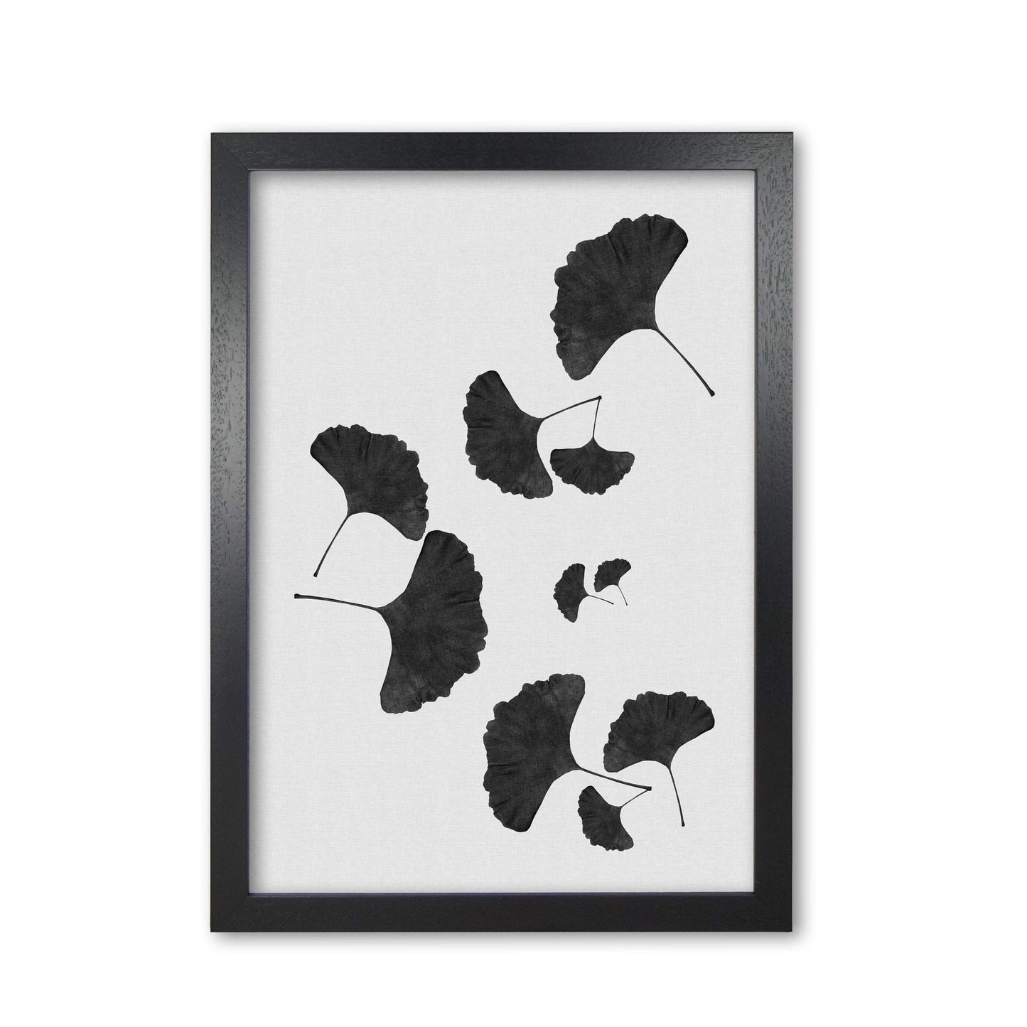Ginkgo leaf black &#038; white i fine art print by orara studio