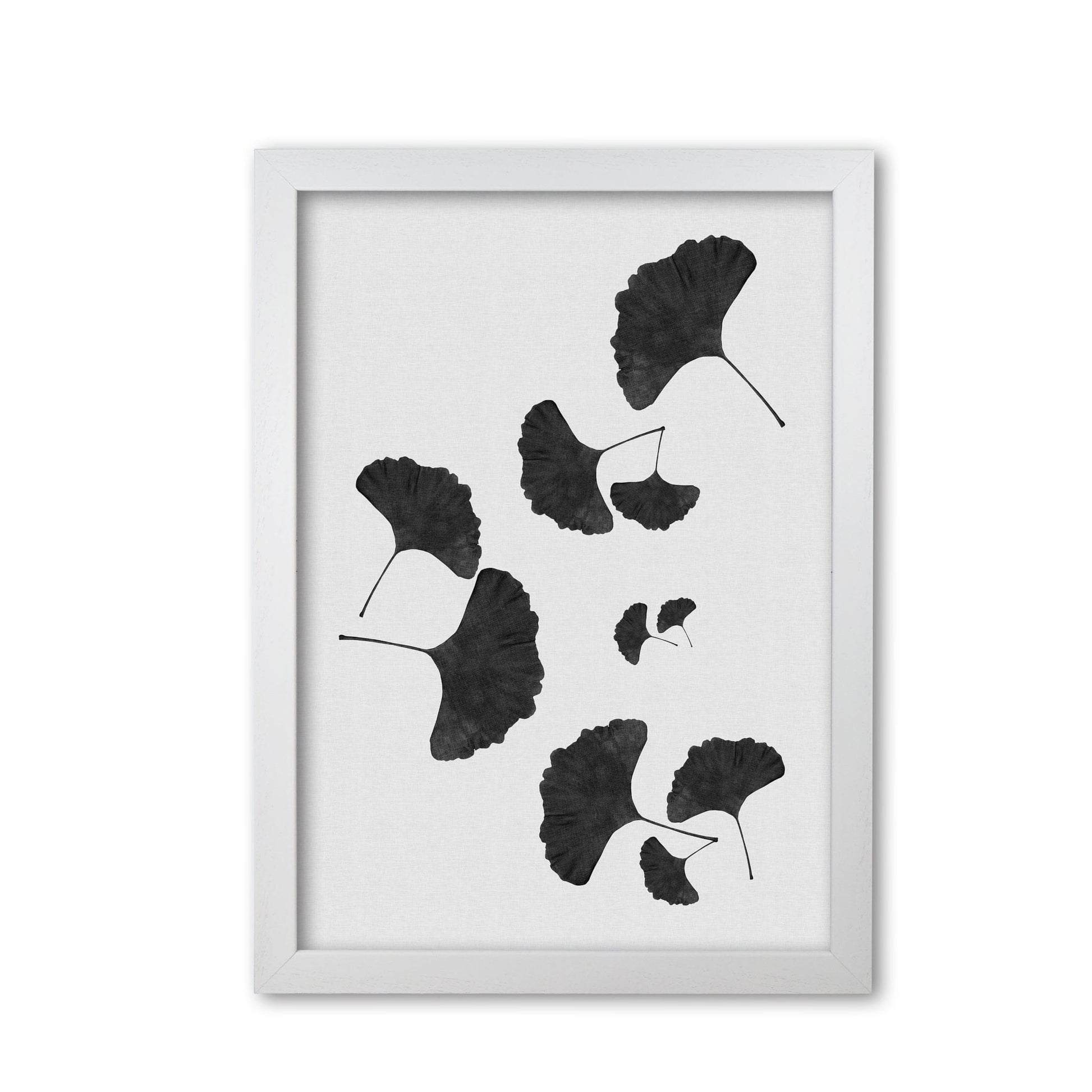 Ginkgo leaf black &#038; white i fine art print by orara studio